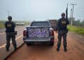 Homem é preso com mais de 680 kg de drogas e veículo furtado em rodovia de Amambai Homem é preso com mais de 680 kg de drogas e veículo furtado em rodovia de Amambai