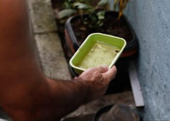 Dengue avança em MS e acende alerta em áreas de risco Dengue avança em MS e acende alerta em áreas de risco
