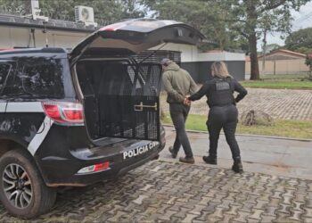 Operação Mulher Segura leva à prisão de homem com histórico de violência doméstica Operação Mulher Segura leva à prisão de homem com histórico de violência doméstica