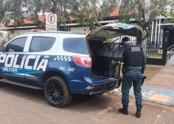 Criança grita por socorro e mãe é brutalmente agredida dentro de casa