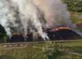 Ações com fogo controlado ajudam a prevenir grandes incêndios no Pantanal de MS