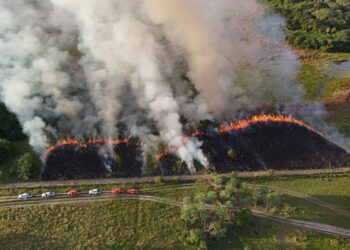 Ações com fogo controlado ajudam a prevenir grandes incêndios no Pantanal de MS
