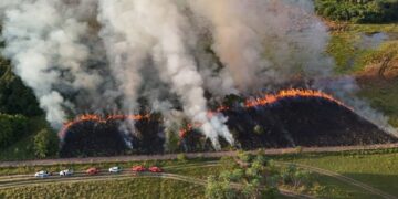 Ações com fogo controlado ajudam a prevenir grandes incêndios no Pantanal de MS