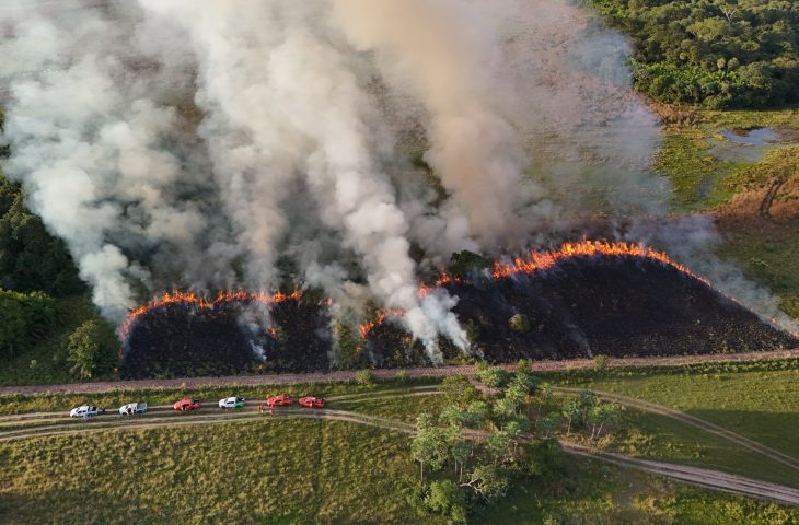 Ações com fogo controlado ajudam a prevenir grandes incêndios no Pantanal de MS
