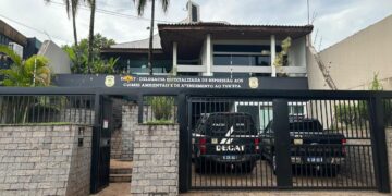 Tutora é indiciada após abandonar cachorro doente e inventar versão falsa do resgate