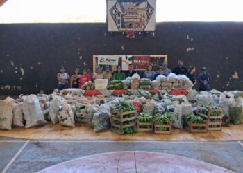 Programa compra alimentos de pequenos produtores e atende mais de 1,1 mil agricultores em MS