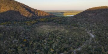 Governo de MS amplia incentivo à conservação e paga produtores por preservação no Pantanal
