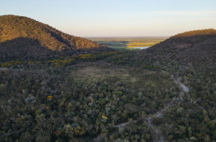 Governo de MS amplia incentivo à conservação e paga produtores por preservação no Pantanal