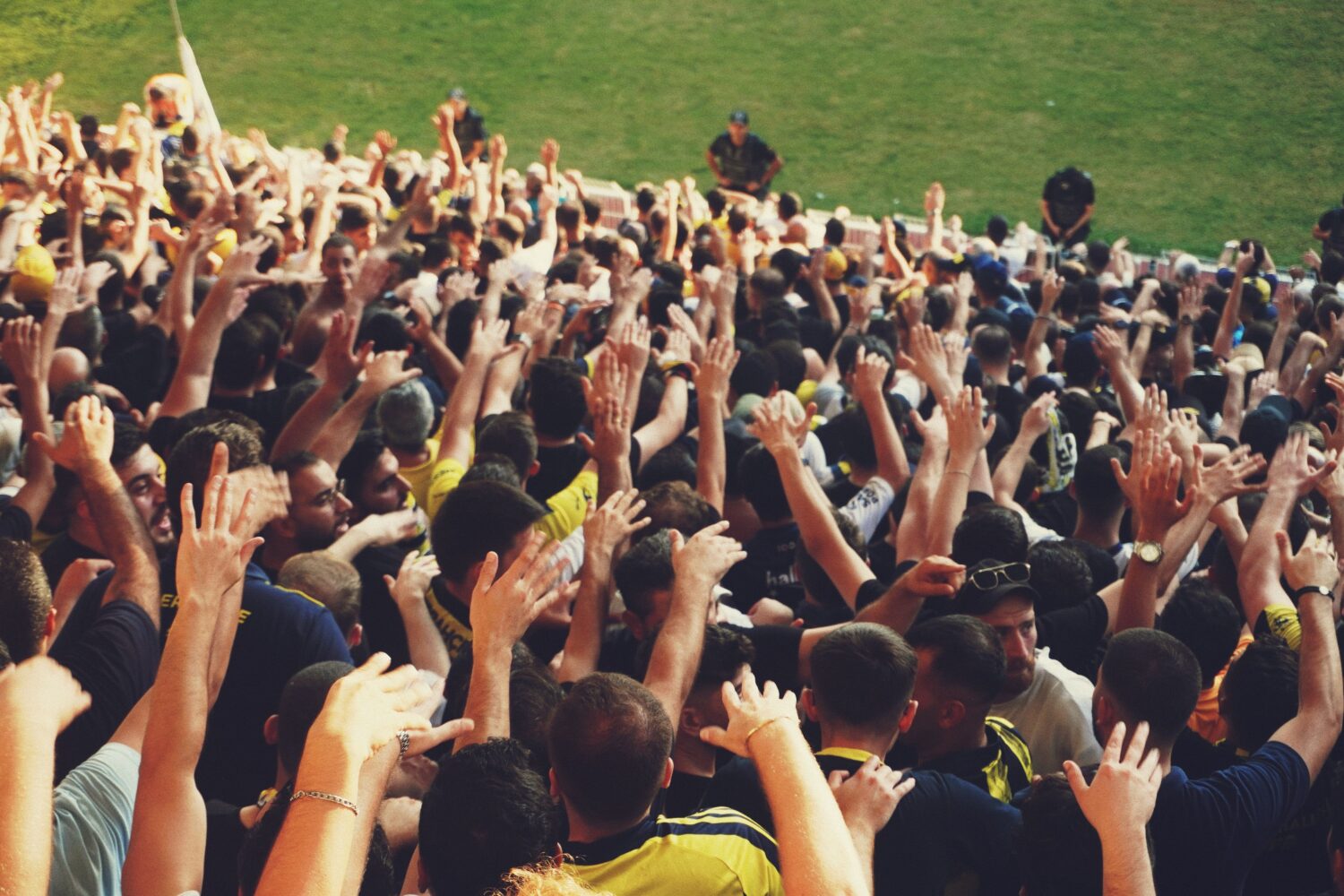 Em tempos de Copa, especialista explica o que separa grandes times da alta performance