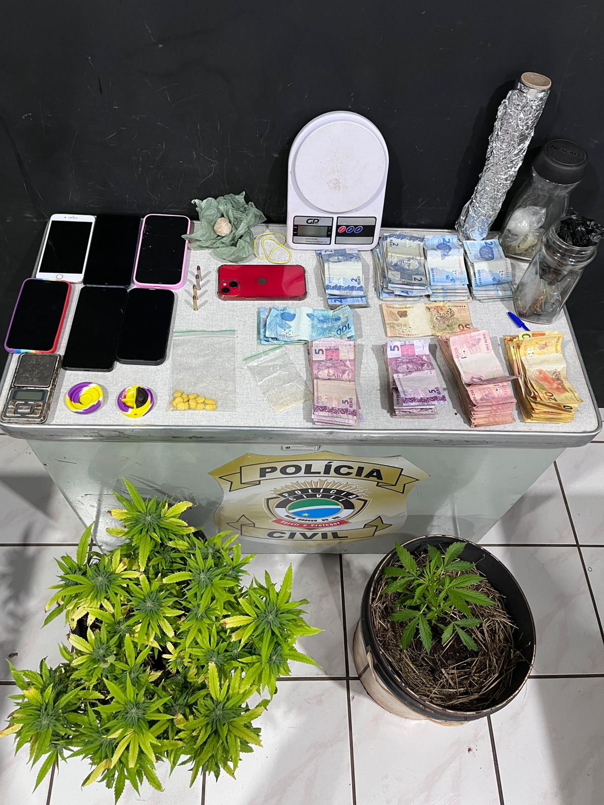 Segunda fase da Operação Elo Oculto prende suspeitos e atinge rede de tráfico