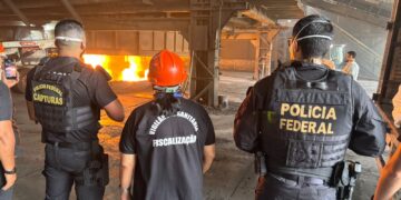 Fronteira em alerta: duas toneladas de drogas são destruídas