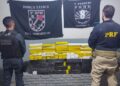 PRF e PM apreendem mais de 200 quilos de maconha