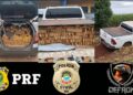 Operação Protetor apreende 2,5 toneladas de maconha, veículos e prende suspeitos na fronteira Operação Protetor apreende 2,5 toneladas de maconha, veículos e prende suspeitos na fronteira