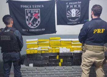 PRF e PM apreendem mais de 200 quilos de maconha