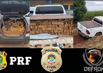 Operação Protetor apreende 2,5 toneladas de maconha, veículos e prende suspeitos na fronteira Operação Protetor apreende 2,5 toneladas de maconha, veículos e prende suspeitos na fronteira