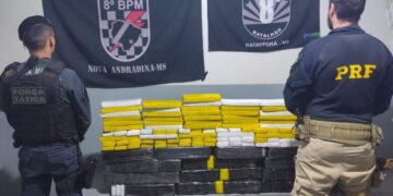 PRF e PM apreendem mais de 200 quilos de maconha