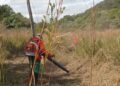 Prevenção avança no Pantanal e evita incêndios em área protegida Prevenção avança no Pantanal e evita incêndios em área protegida