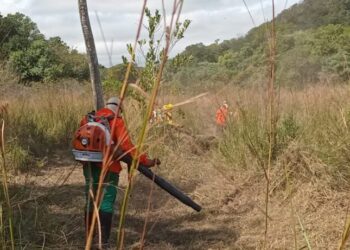 Prevenção avança no Pantanal e evita incêndios em área protegida Prevenção avança no Pantanal e evita incêndios em área protegida