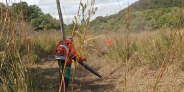 Prevenção avança no Pantanal e evita incêndios em área protegida
