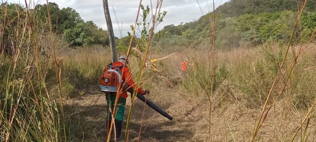 Prevenção avança no Pantanal e evita incêndios em área protegida