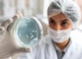 Salmonella: cuidados simples ajudam a evitar infecção alimentar