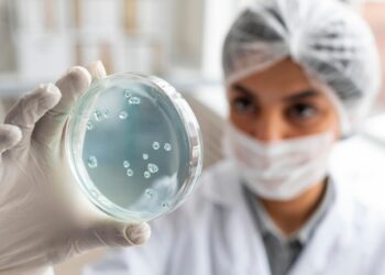 Salmonella: cuidados simples ajudam a evitar infecção alimentar