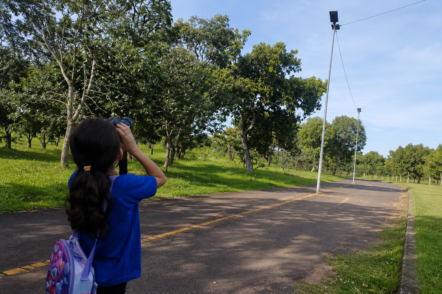 Estudantes da Reme exploram biodiversidade em atividade no Parque Sóter