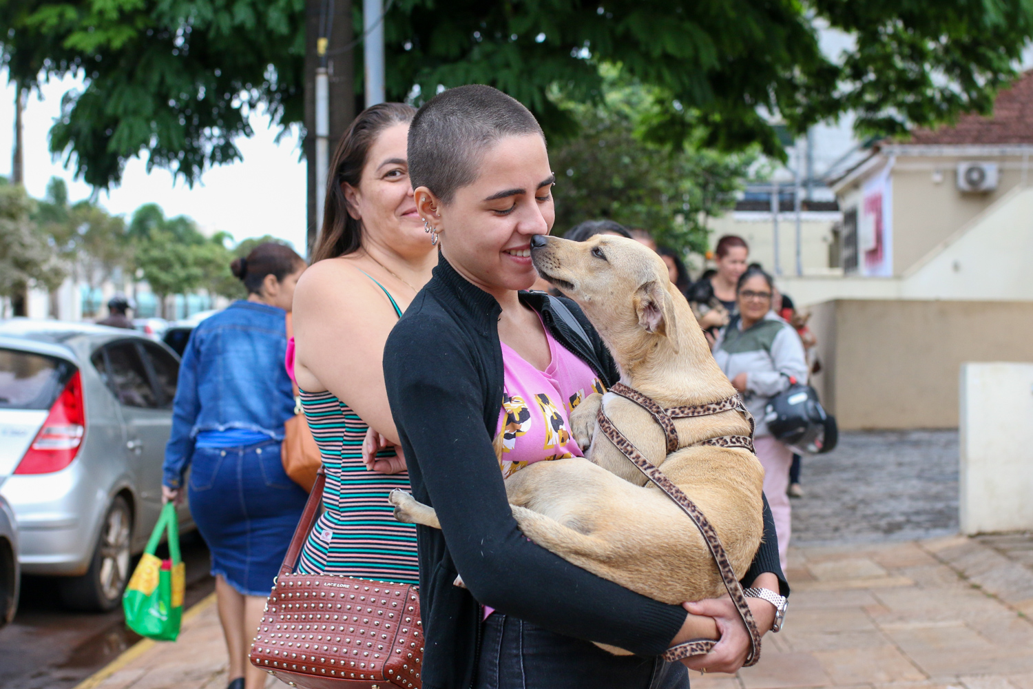 Feira de adoção da Subea acontece no domingo