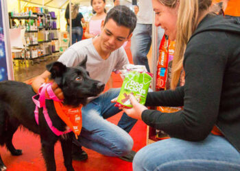 Campo Grande incentiva pesquisa sobre turismo pet