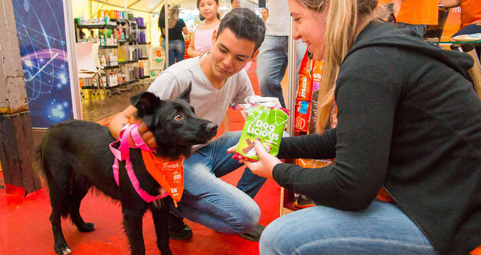 Campo Grande incentiva pesquisa sobre turismo pet