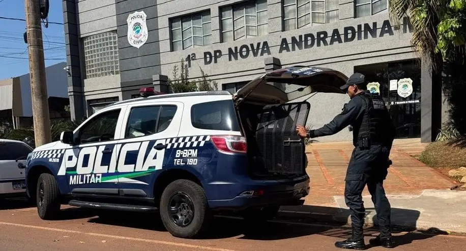 Jovem é preso após arrombar loja e furtar R$ 600