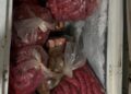 Açougue é flagrado com carne irregular e quase 500 kg são descartados na Capital