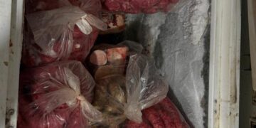 Açougue é flagrado com carne irregular e quase 500 kg são descartados na Capital