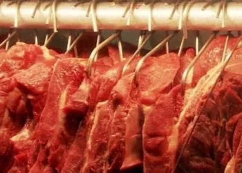 Preços da picanha e da alcatra recuam, e carne bovina pode ficar mais barata