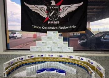 Polícia apreende carga de medicamentos para emagrecimento avaliada em R$ 134,5 mil Polícia apreende carga de medicamentos para emagrecimento avaliada em R$ 134,5 mil
