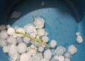 Tempestade de granizo cobre ruas e assusta moradores no sul de MS Tempestade de granizo cobre ruas e assusta moradores no sul de MS
