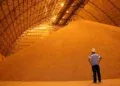 Soja reage em julho, mas produtores devem manter cautela com o mercado Soja reage em julho, mas produtores devem manter cautela com o mercado