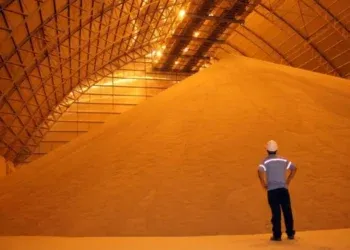Soja reage em julho, mas produtores devem manter cautela com o mercado Soja reage em julho, mas produtores devem manter cautela com o mercado