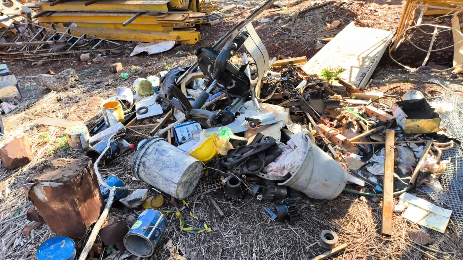 Idoso é preso em flagrante por crime ambiental em galpão clandestino na Capital