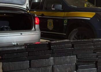 PRF recupera caminhonete furtada e apreende quase 150 kg de maconha na BR-262 PRF recupera caminhonete furtada e apreende quase 150 kg de maconha na BR-262