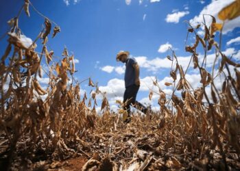 Super El Niño pode impactar safra, elevar preços e pressionar economia em MS