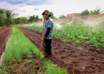 Novo programa liga agricultura familiar ao combate à fome Novo programa liga agricultura familiar ao combate à fome