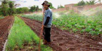 Novo programa liga agricultura familiar ao combate à fome