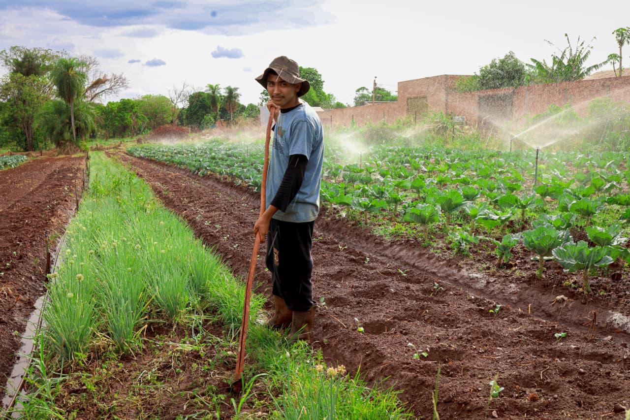 Novo programa liga agricultura familiar ao combate à fome