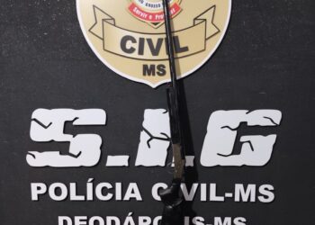 Dupla é presa por comércio ilegal de armas de uso restrito Dupla é presa por comércio ilegal de armas de uso restrito