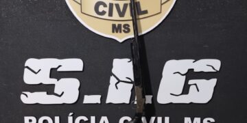 Dupla é presa por comércio ilegal de armas de uso restrito