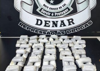 Denar apreende mais de 10 quilos de haxixe enviados em transportadora