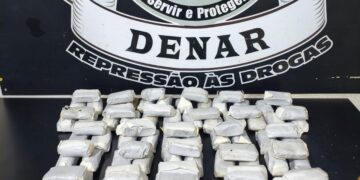 Denar apreende mais de 10 quilos de haxixe enviados em transportadora