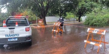 Equipes monitoram a cidade e atuam durante temporal na Capital