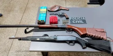 Denúncia de violência doméstica leva polícia a encontrar arsenal com 368 munições